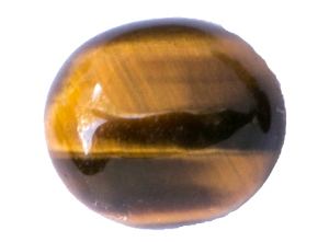 Tiger's-Eye-300-x-221 Tiger's-Eye-300-x-221